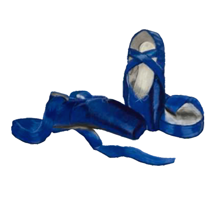 En Avant Blue Ballet Slippers